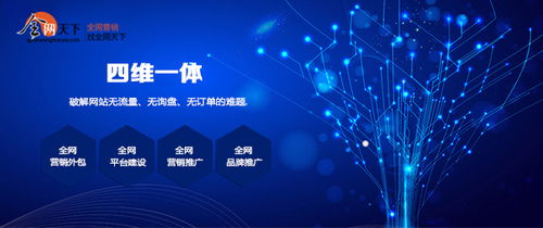 傳統(tǒng)企業(yè)如何借力全網營銷，擁抱互聯(lián)網銷售變革